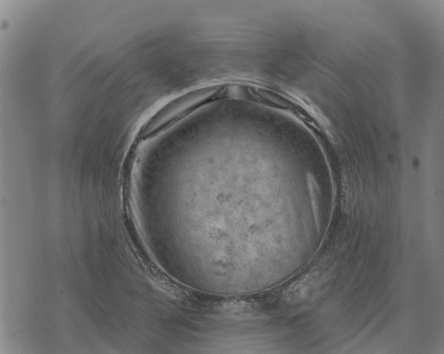 X0000074341316200609011618