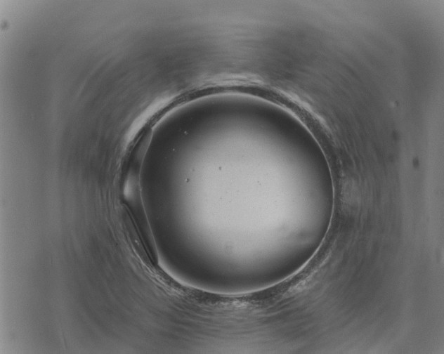 X0000074341317200609011618