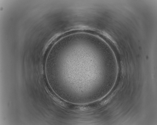 X0000074341318200609011618