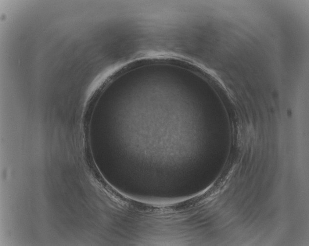 X0000074341319200609011618