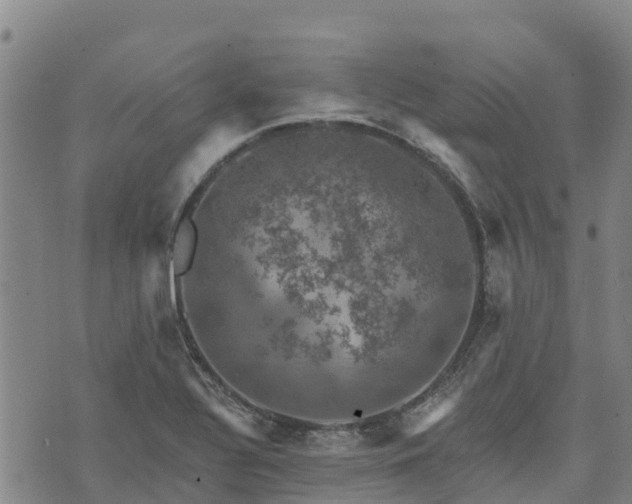 X0000074341320200609011618