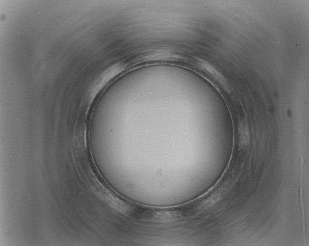 X0000074341322200609011618