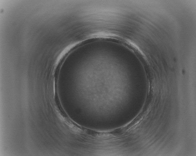 X0000074341323200609011618