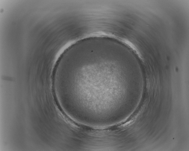 X0000074341326200609011618