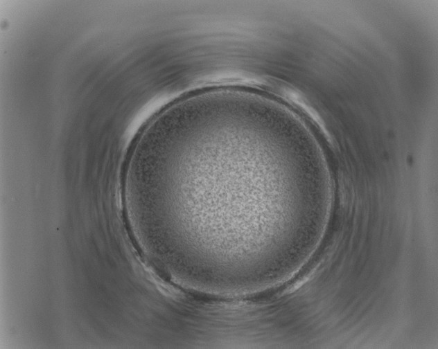 X0000074341328200609011618