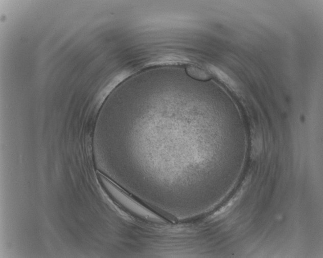 X0000074341329200609011618