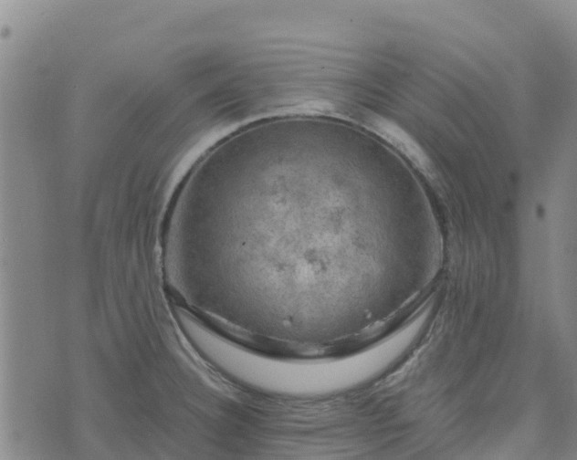 X0000074341332200609011618