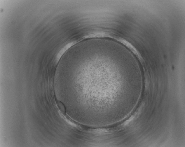 X0000074341337200609011618