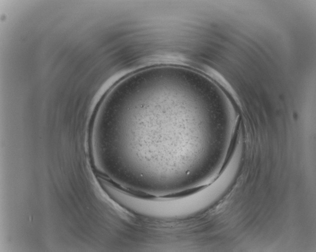 X0000074341339200609011618