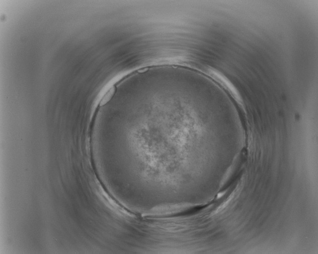 X0000074341340200609011618