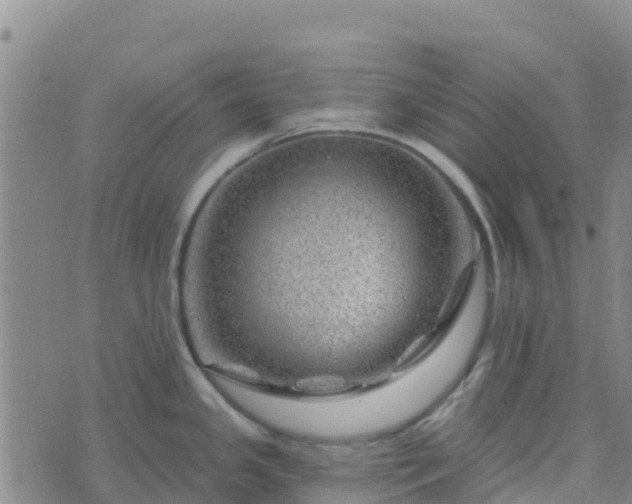 X0000074341341200609011618