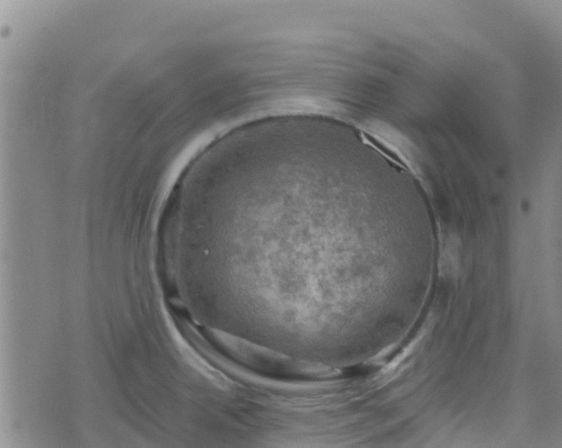 X0000074341342200609011618