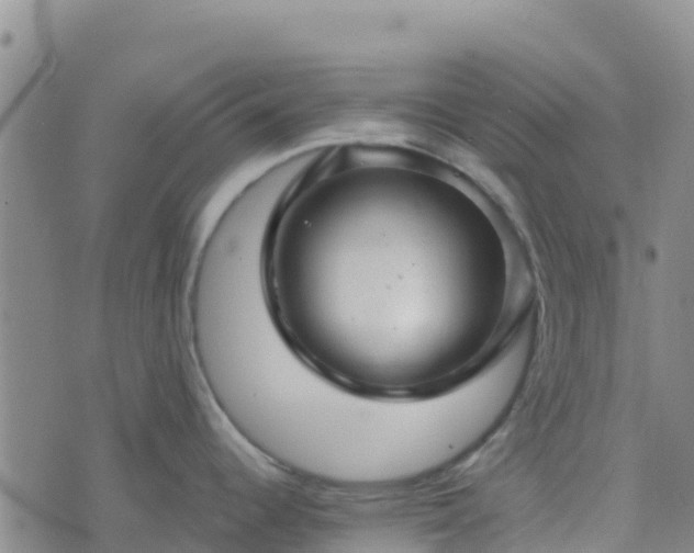 X0000074341344200609011618