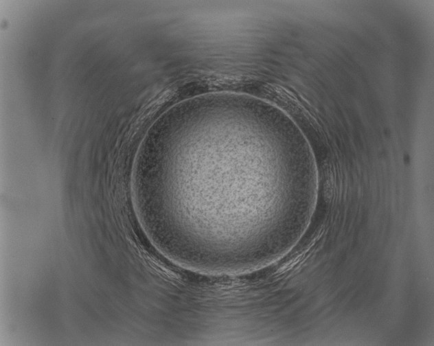 X0000074341345200609011617