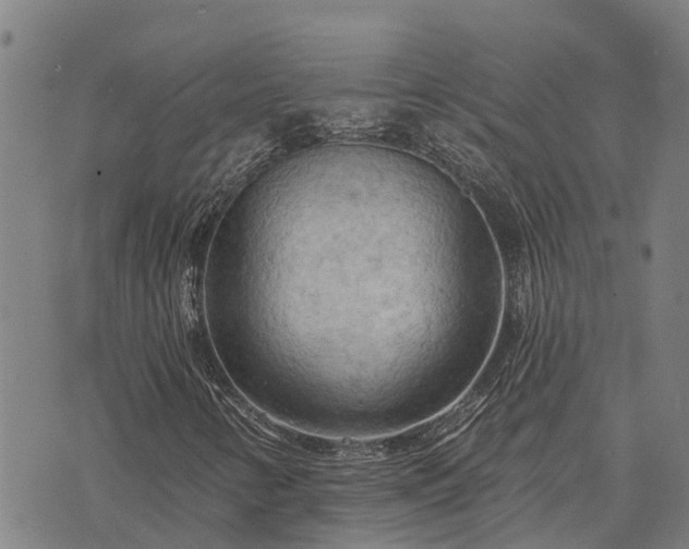 X0000074341346200609011617