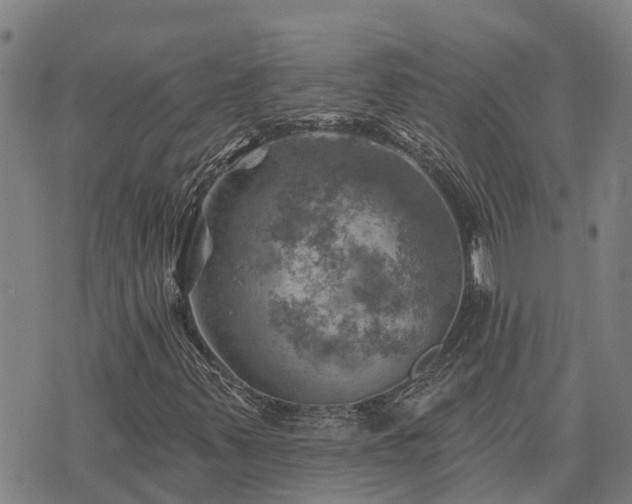 X0000074341347200609011617