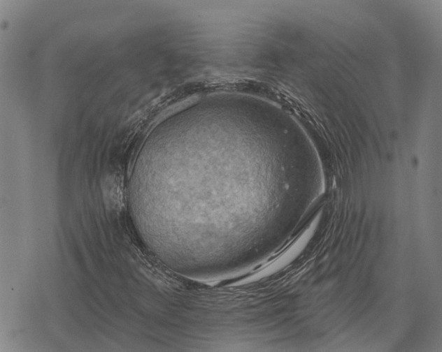 X0000074341348200609011617