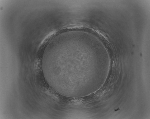 X0000074341351200609011617