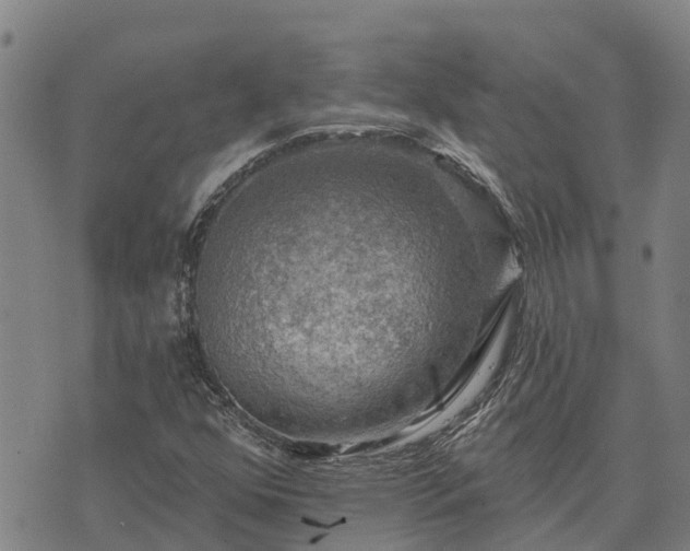 X0000074341352200609011617