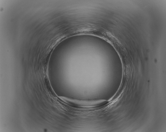 X0000074341353200609011617