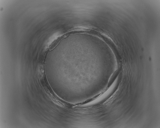 X0000074341355200609011617