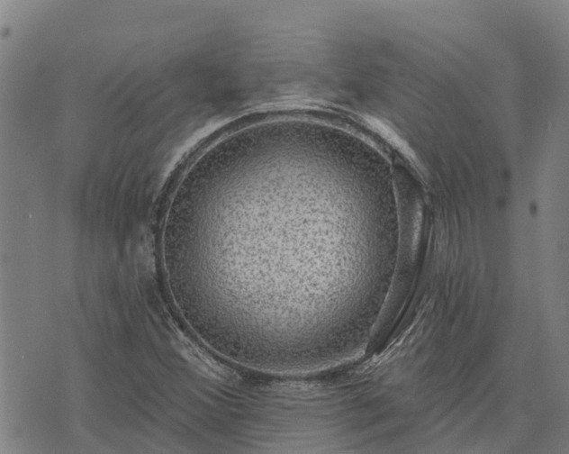 X0000074341356200609011617