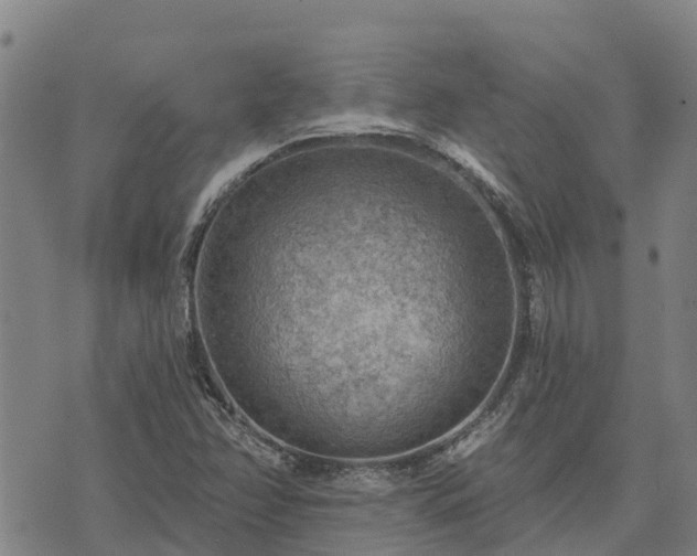 X0000074341358200609011617