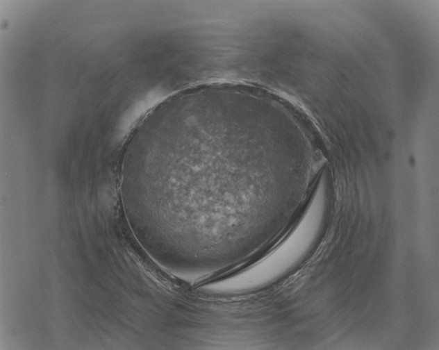 X0000074341359200609011617