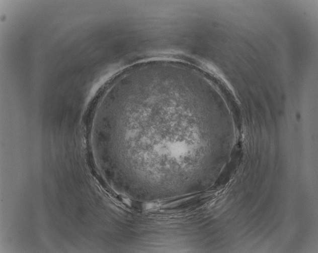 X0000074341360200609011617