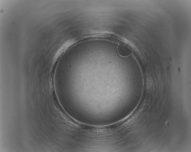 X0000074341362200609011617