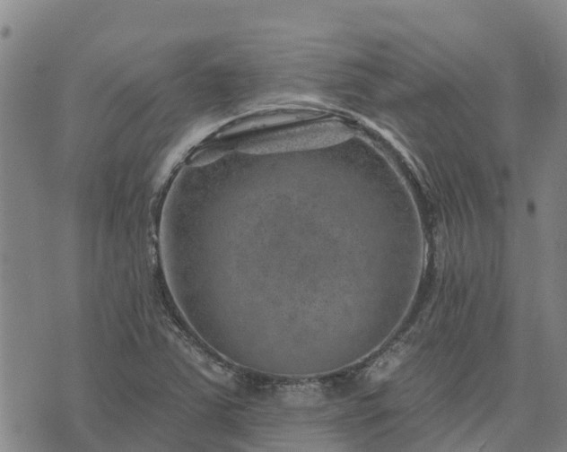 X0000074341363200609011617