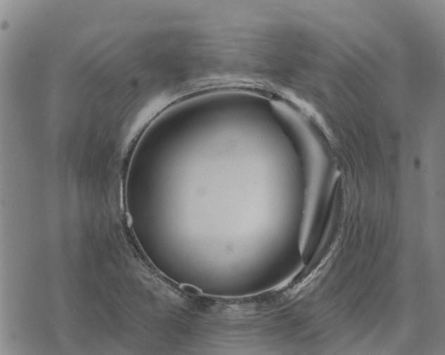 X0000074341365200609011617