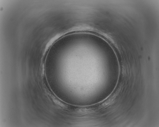 X0000074341366200609011617