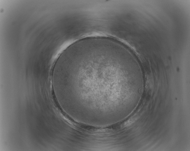 X0000074341367200609011617