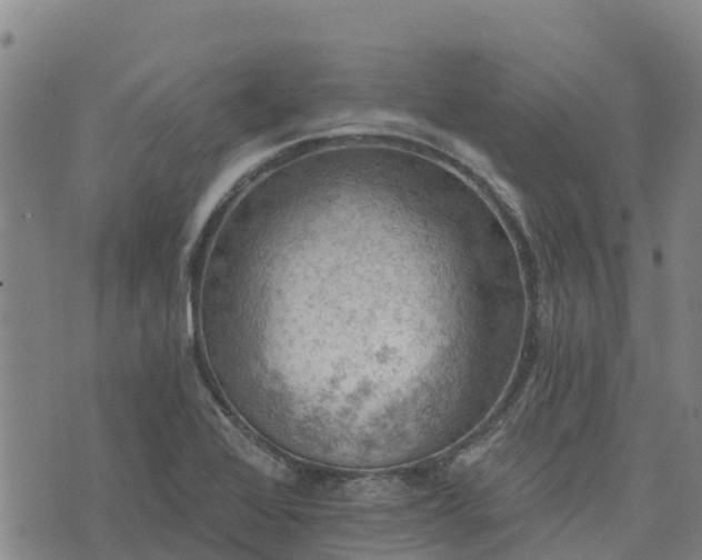 X0000074341368200609011617