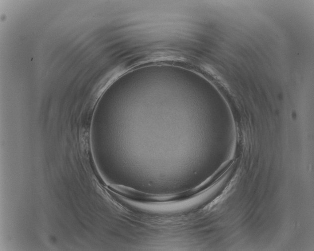 X0000074341369200609011617