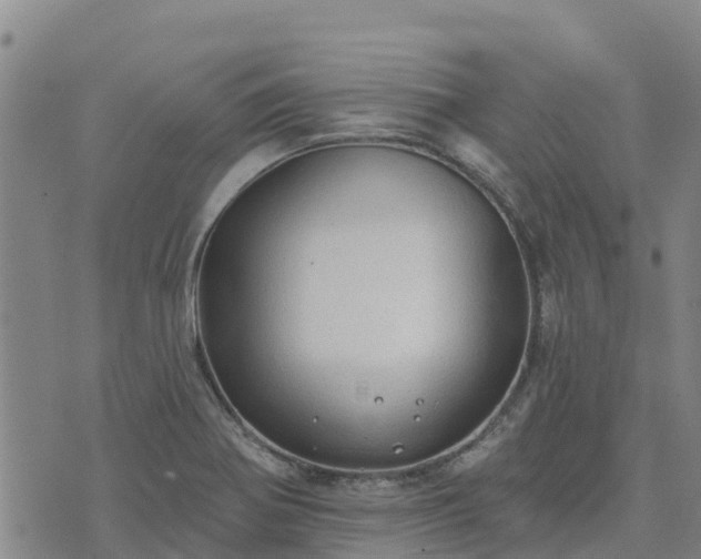 X0000074341370200609011617