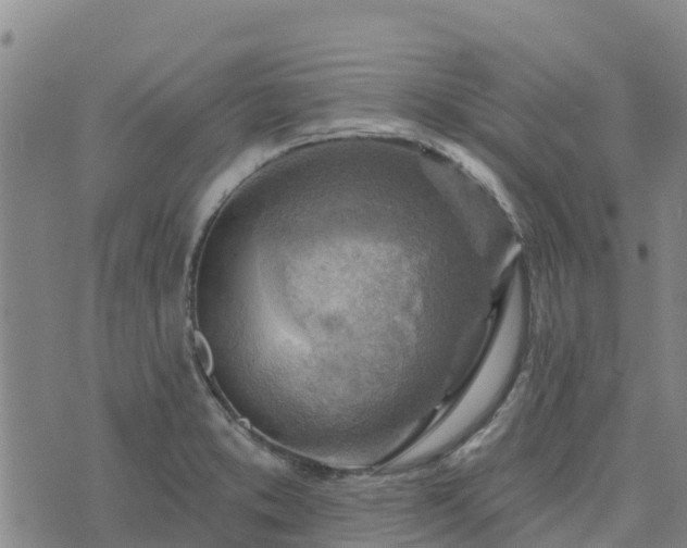 X0000074341373200609011617