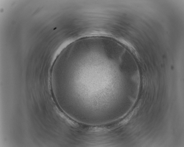 X0000074341374200609011617