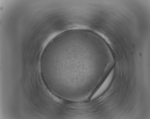 X0000074341375200609011617