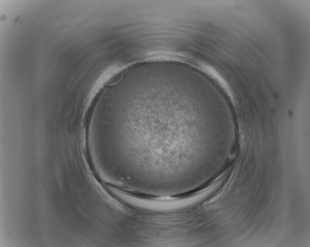 X0000074341376200609011617