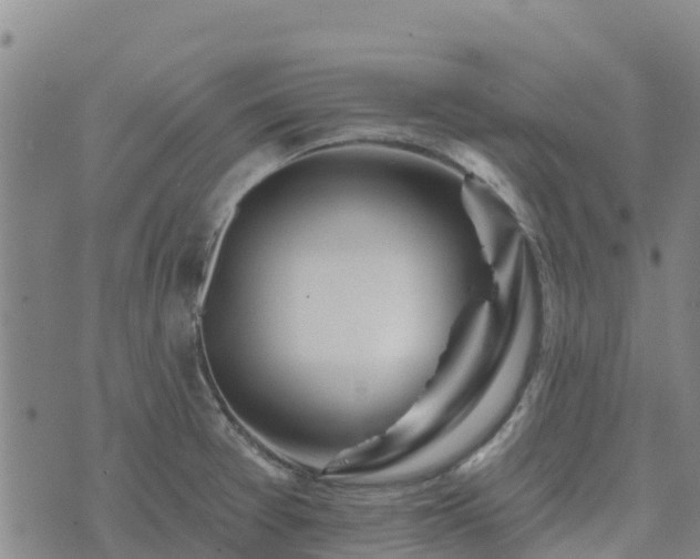 X0000074341377200609011617