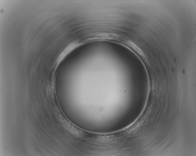 X0000074341378200609011617