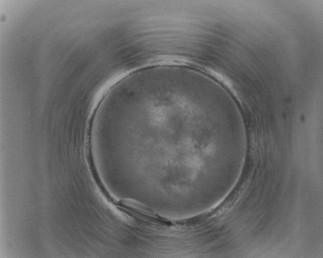 X0000074341379200609011617