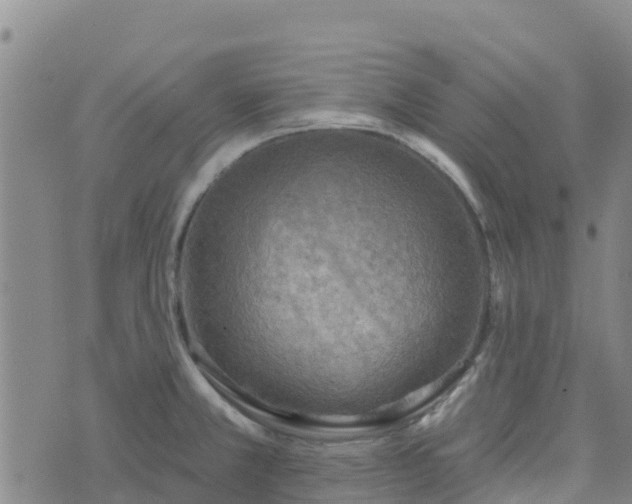 X0000074341381200609011617