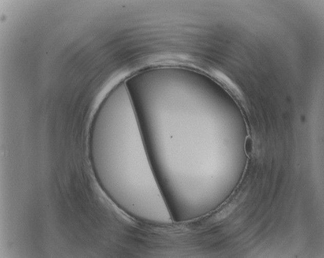 X0000074341384200609011617