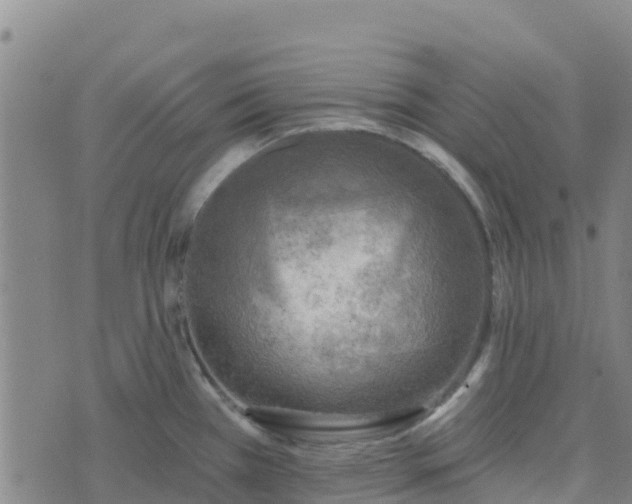 X0000074341385200609011617