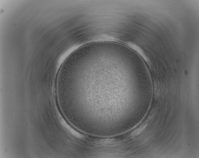 X0000074341387200609011617