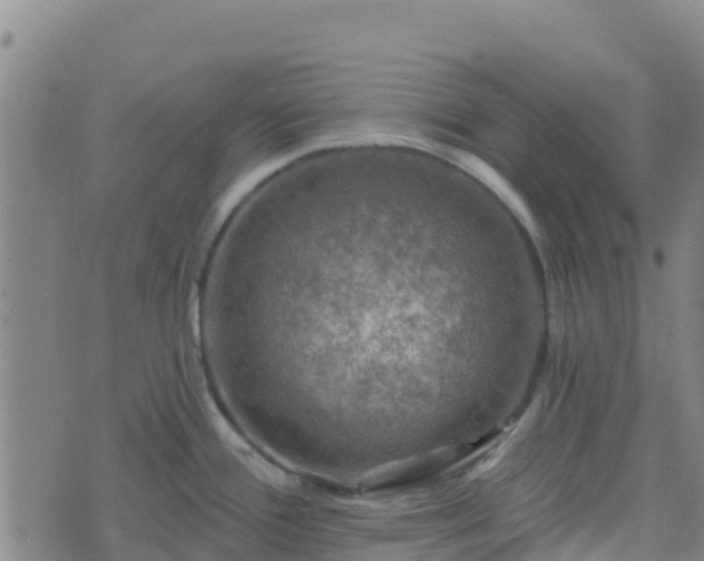 X0000074341388200609011617