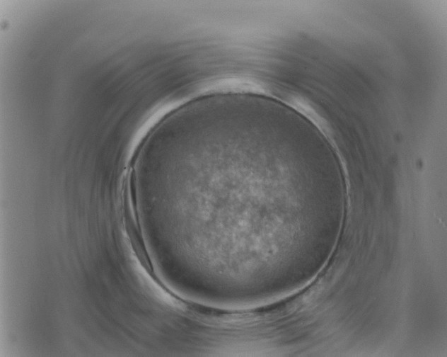 X0000074341392200609011617